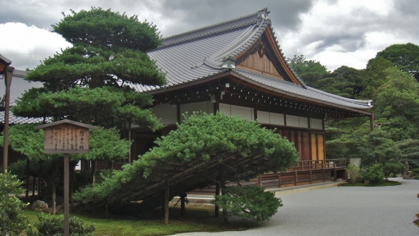 Inscriptions et tarifs Kokodo